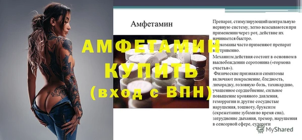 apvp Иннополис