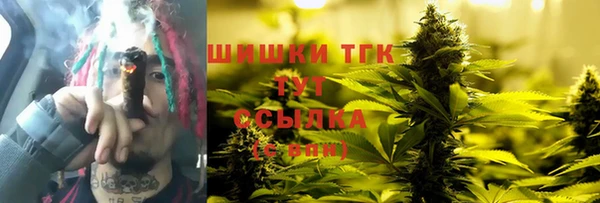 apvp Иннополис