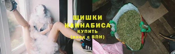 apvp Иннополис