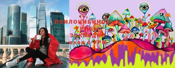 apvp Иннополис