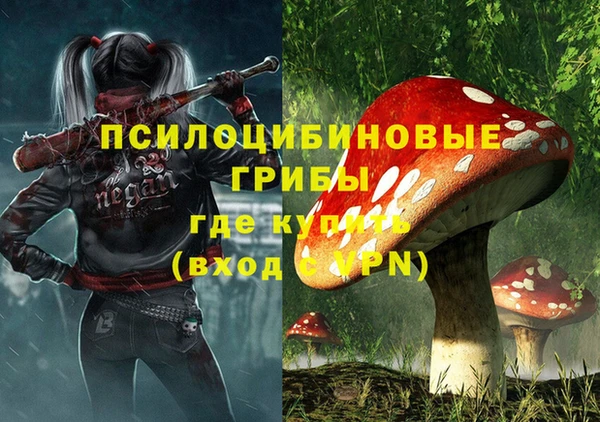 гашиш Инсар