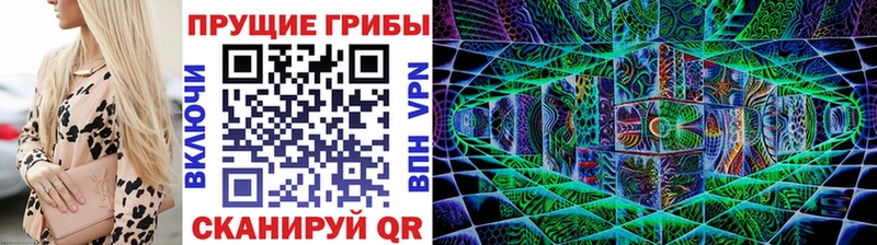 Купить где  Баймак  Псилоцибиновые грибы Cubensis 